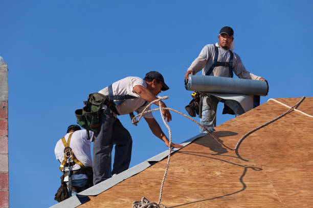 Gutter Installation and Roofing in Branchville, SC